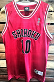 Jordan 6 Slam Dunk Jersey - Red
